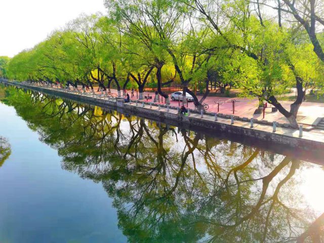 沈陽(yáng)怡靜園-圖片來(lái)源編輯網(wǎng)